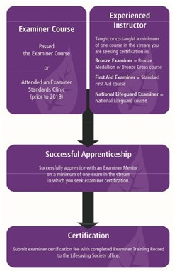 Flow chart of Examiners certification process